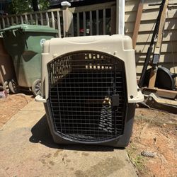 Dog House