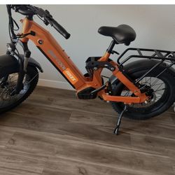 Bee Cool Ranger E Bike 