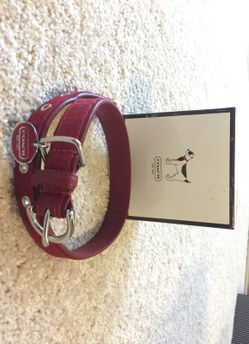 Coach Signature Collection Dog collar