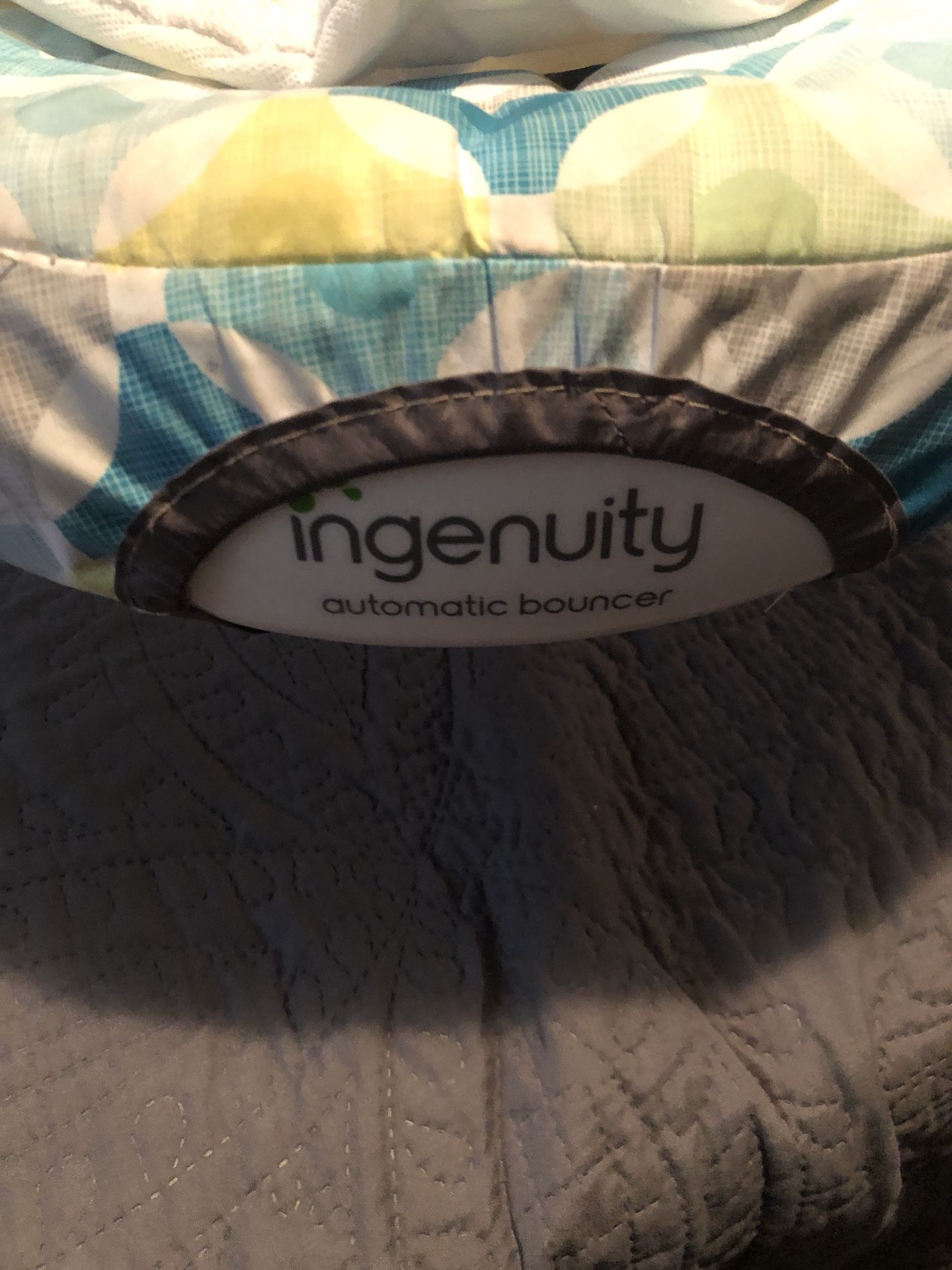 Ingenuity Smart Bouncer