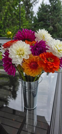 $6 Zinnias and Dahlia Stems