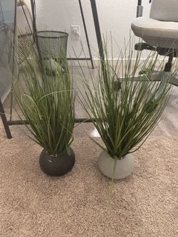 Decorative Faux Plants