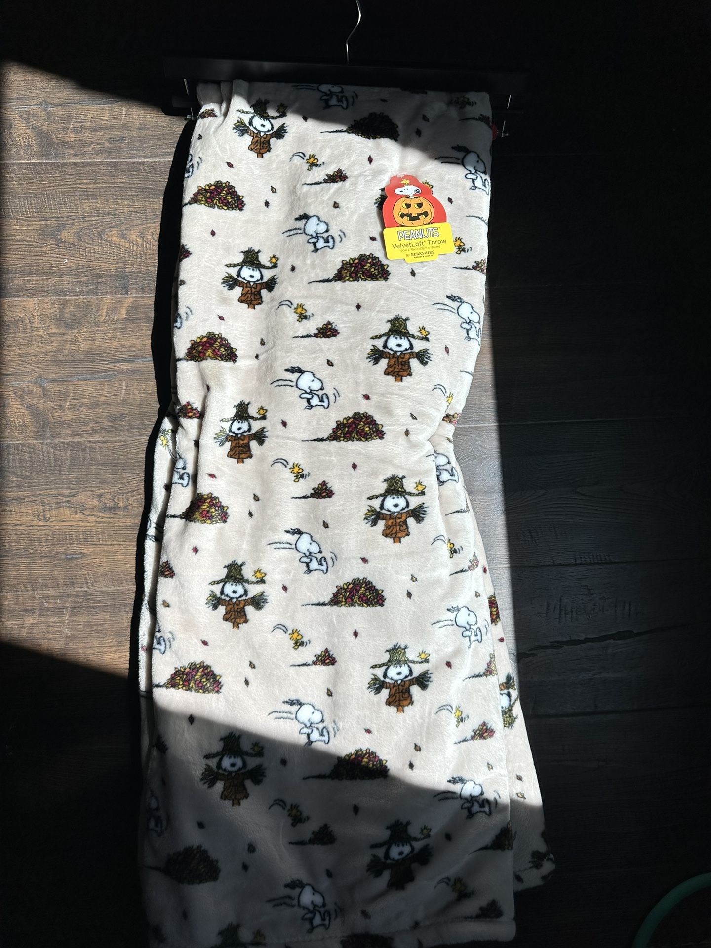 Snoopy Fall Blanket