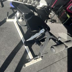 Leg Curl And Extension 