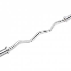 Brand New Olympic Curl Bar Still In Case