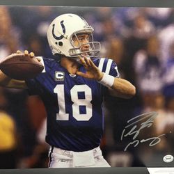Peyton Manning Signed 11 X 14 Photograph