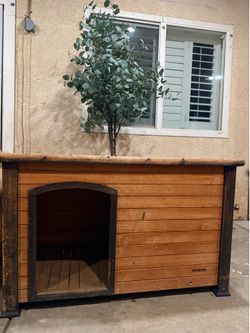 Dog house