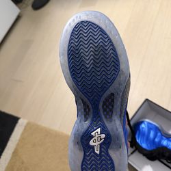Nike Foamposite Royal Blue Sneakers in Box