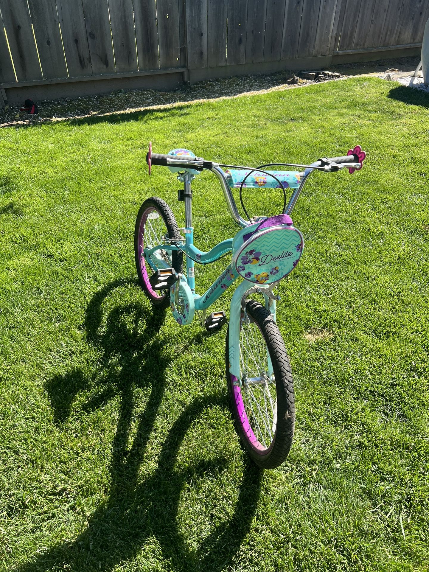 Schwinn Deelite 20” Kids Bike