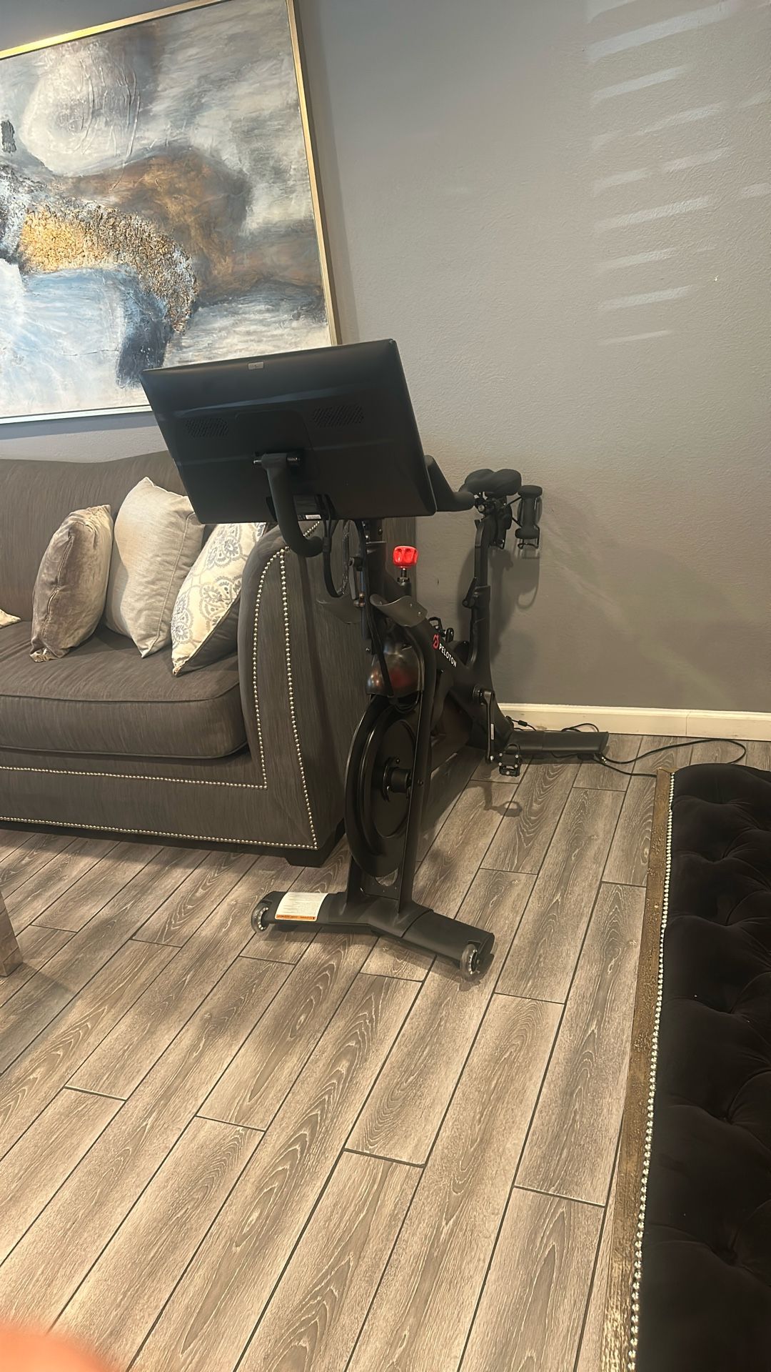 Peloton Rowing And Biking Machine