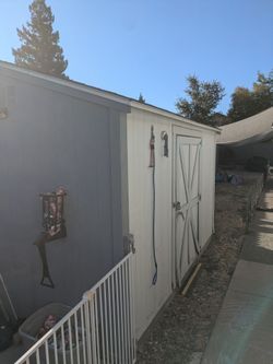 Shed
