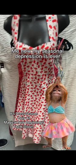 Summer Dresses