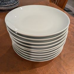 Ten (10) Pottery Barn Dinner Plates