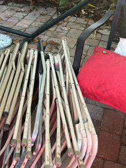 Lion Head Planter Plus2