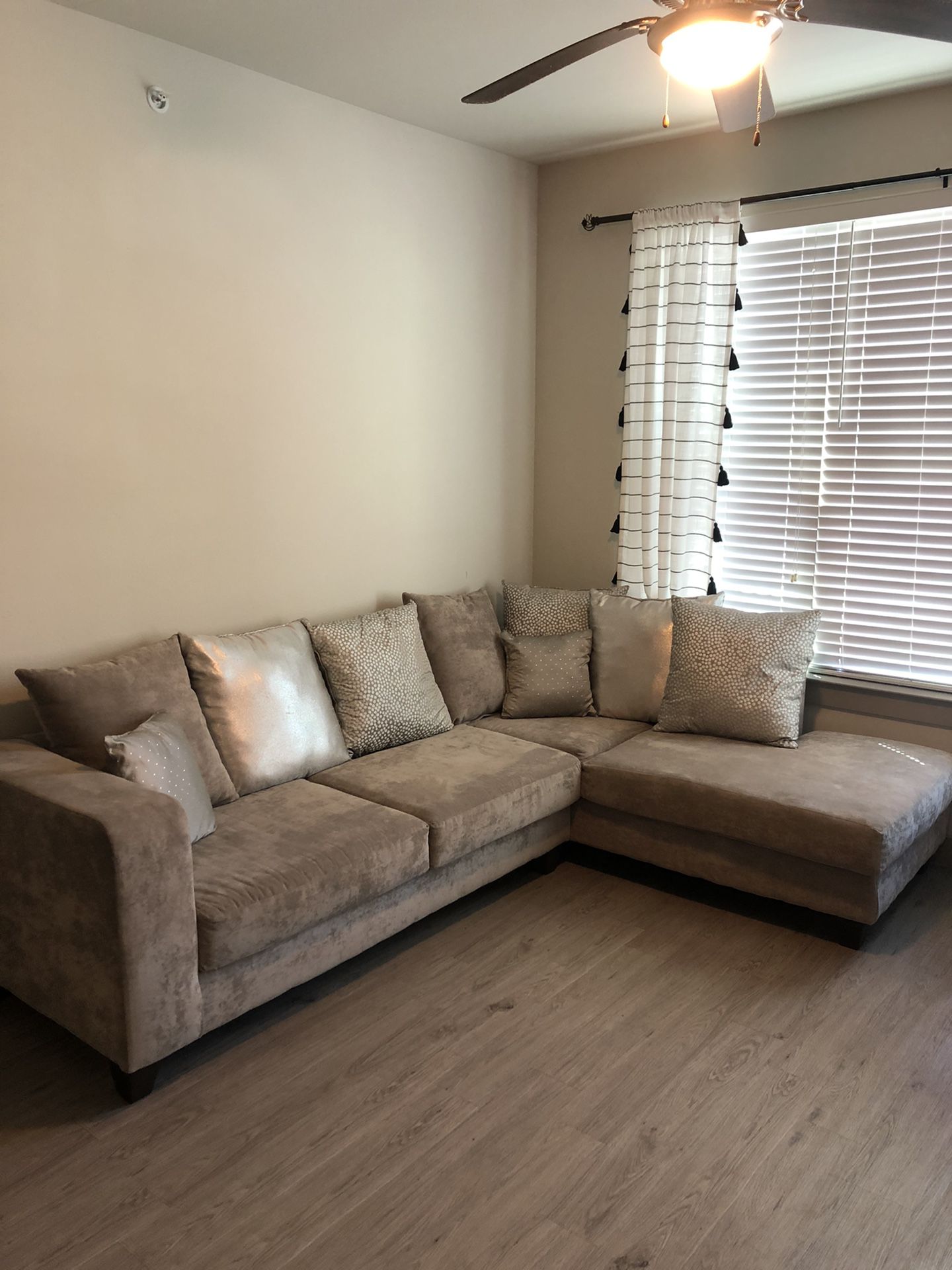 Modern sectional couch