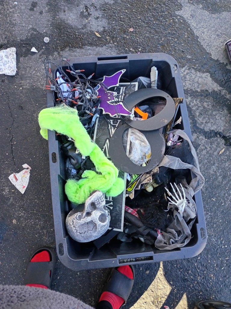 Halloween Decorations