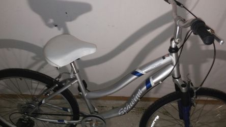 Schwinn 7-speed Cruiser