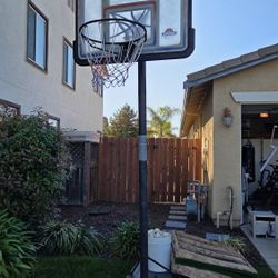 Lifetime Adjustable Basketball Hoop