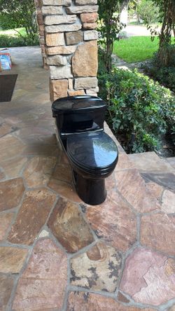 Toto black toilet
