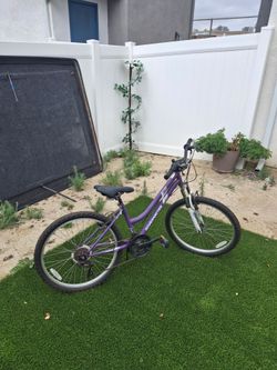 Granite Peak Roadmaster children's Bicycle