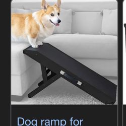 Pet ramp 