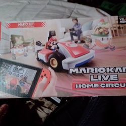 Mario kart Live Home Circuit