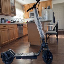 Electric scooter with shock absorber