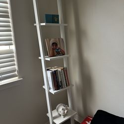 Ladder bookshelf