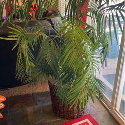 Fake Tropical Indoor Plant