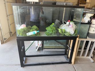 60 gal fish tank all set