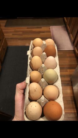 Backyard Chicken Eggs $5