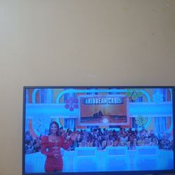 32 inch insignia tv with remote ,barely used every thing works