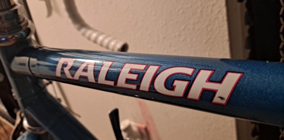 1987 Raleigh 450