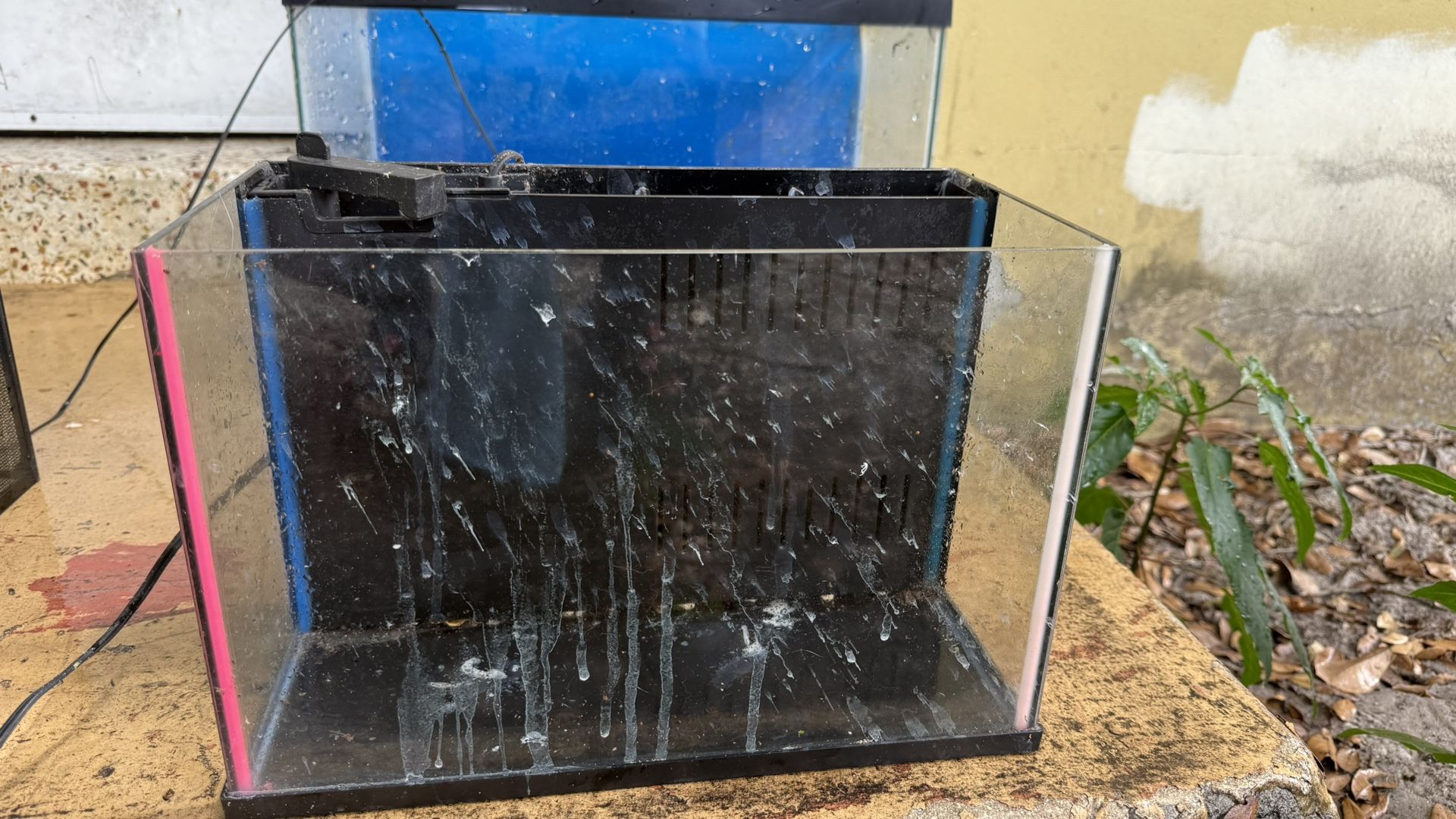 Fish Tank 2 Gallon Free