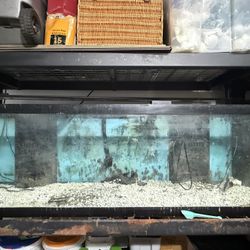 Fish Tank For Sale 