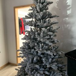 Xmas Tree