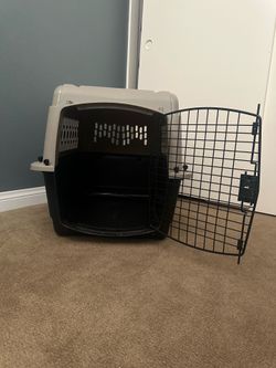 Dog Kennel