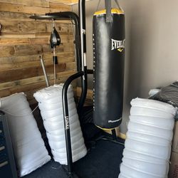  Everlast - 2 station heavy bag stand - 100lb heavy bag & speed bag included - Brand new 