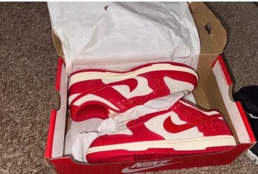 Women’s new in box Nike dunks size 9