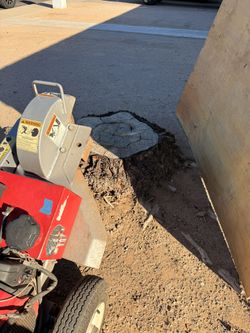 Tree Remover stump Grinder