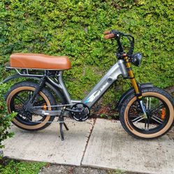 Electric Bagibike 