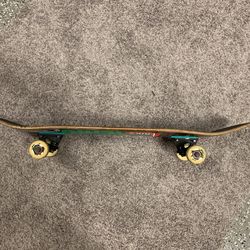 Skate Board