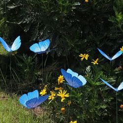 New Set Of 8 12” Butterfly Stakes Decor Blue Butterflies 