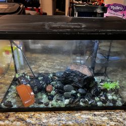 10 Gallon Fish Tank Set!