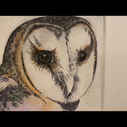 Artist Signed Owl Sketching