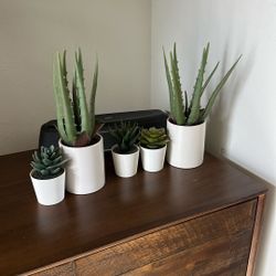 MINI FAKE PLANTS 