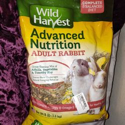 Rabbit Food 