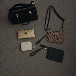 Purse, Wallets And Clutches