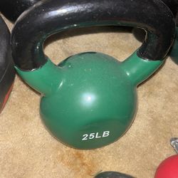 Color Coated 25lb Kettlebell