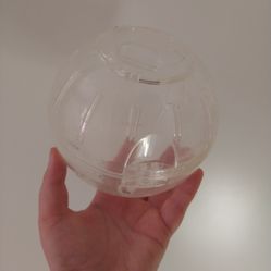 Free Dwarf Hamster Ball